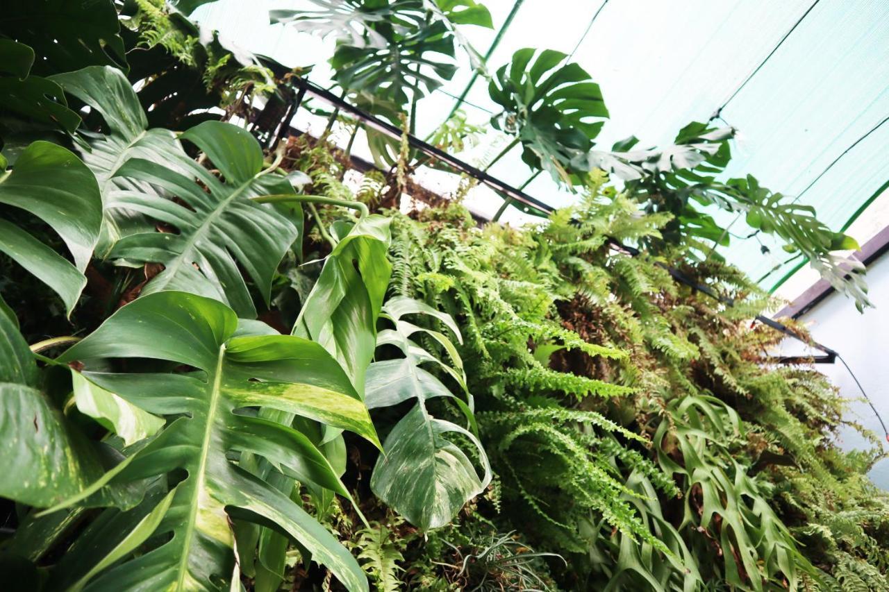 Amango Hostel Ho Chi Minh Zewnętrze zdjęcie
